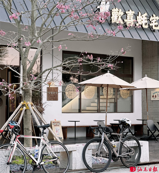 31 (3) - 副本.png